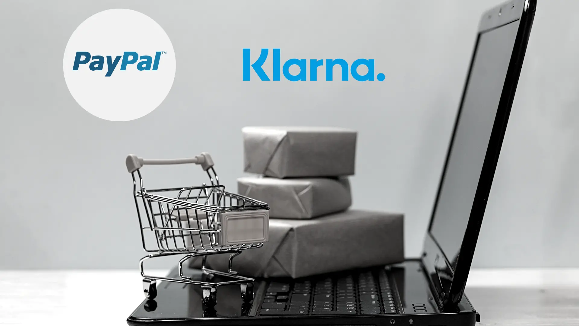 Auf dem deutschen Markt sind bis jetzt vor allem Anbieter wie PayPal oder Klarna aus dem Bereich der BNPL-Anbieter bekannt
